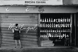 Tjoekil Kajoe - Vernacular Type font