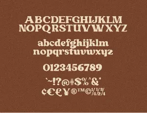 Monstario Serif font