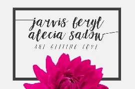 Adellove Typeface font