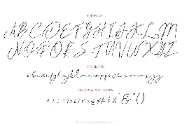 Ringston Haneul Signature font