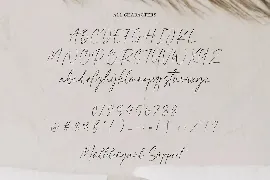 Aromatic Signature Modern Signature Font TT