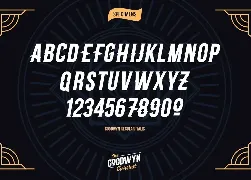 Goodwyn - Retro Fonts