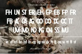 Fhunster Best Ligature Sans font