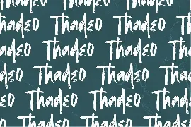 Shegard | A Stylish Brush Font