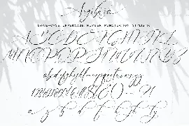 Angibusa font