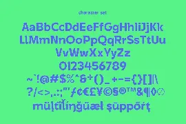 Certal Sans Serif Display Font