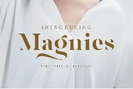 Magnies - Minimal Serif font