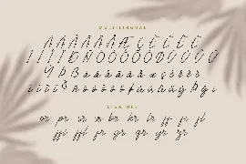 The Mind Rain Font