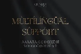 Qiunels - Elegant Luxury Display Serif font