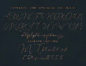 Shailene Script Font