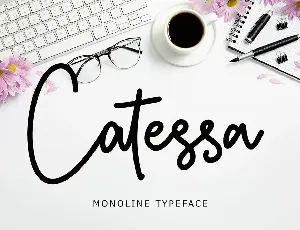 Catessa Monoline Typeface font