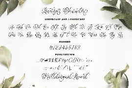 Anelisa Beauty Script Font