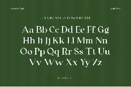 Denalea A Modern Serif Font