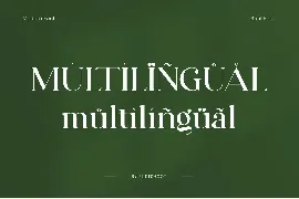 Denalea A Modern Serif Font