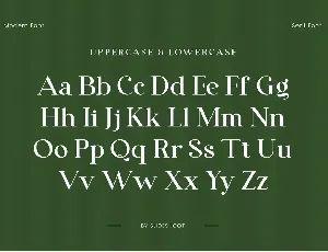 Denalea A Modern Serif Font