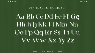 Denalea A Modern Serif Font