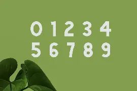 Green | Natural Cute Font