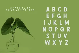 Green | Natural Cute Font