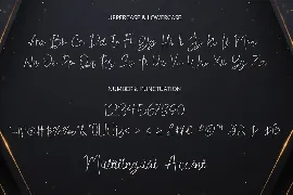 Pilot Signature Font