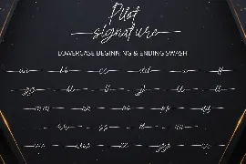 Pilot Signature Font