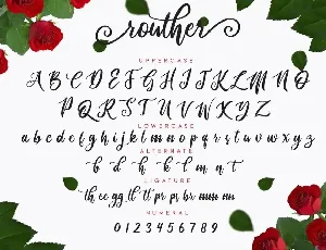 routher - Beautiful Script font