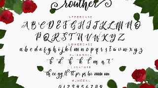 routher - Beautiful Script font