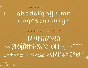 Jenalavin - Modern Serif font