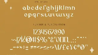 Jenalavin - Modern Serif font