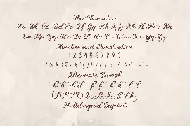 Qiyu font