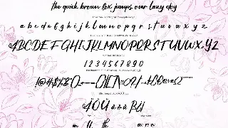 Chrisela | Modern Style Script Font