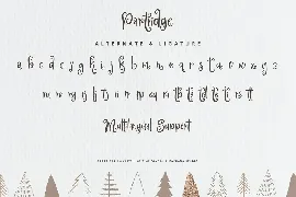 Partridge font