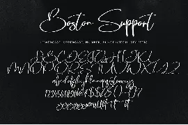 Boston Support font