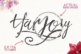 Harmony King - Brush Font