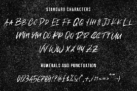 Handbrush Font