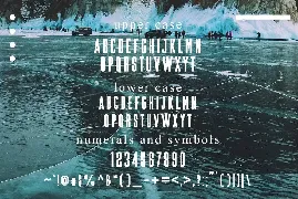 RIG - Sans Serif Font