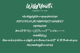 Wildyouth | Brush Handwriting Script Font