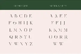 Vallura - Serif Display Font