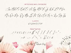 Lavineta Calligraphy Font