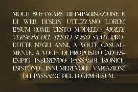 Gardena Quanto Serif Display Font Family