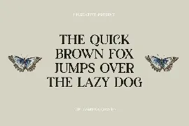 Gardena Quanto Serif Display Font Family