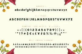 Baby School - Kids Fun Font