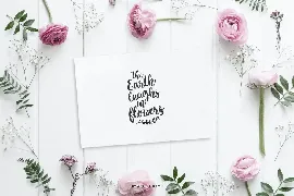 Sweet Mia modern calligraphy font