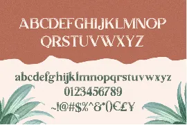 Lumiera Font Duo