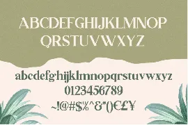 Lumiera Font Duo