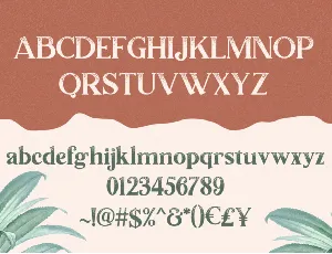 Lumiera Font Duo