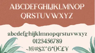 Lumiera Font Duo