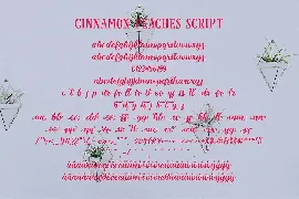 Cinnamon Peaches font