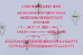 Cinnamon Peaches font