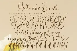 Authentic Binate font