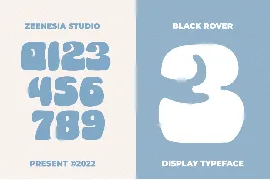 Black Rover font